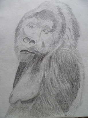 gorilla by Rosemary